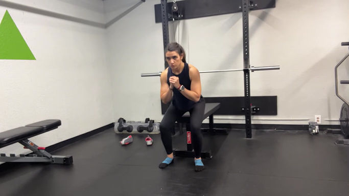 Body weight Squats